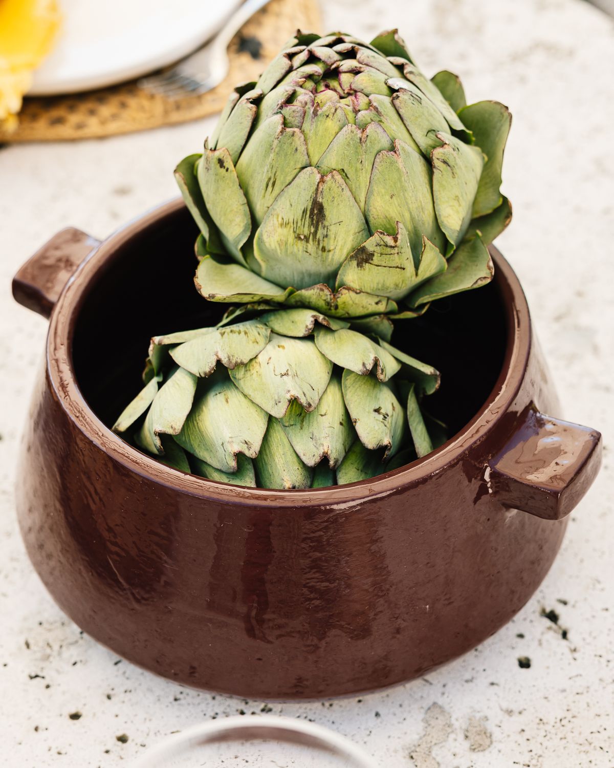 Ovenschaal met deksel Auri S - Bordeaux