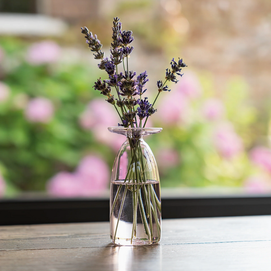 Glazen Vaasje met Open Rand – Roze – 22 cl