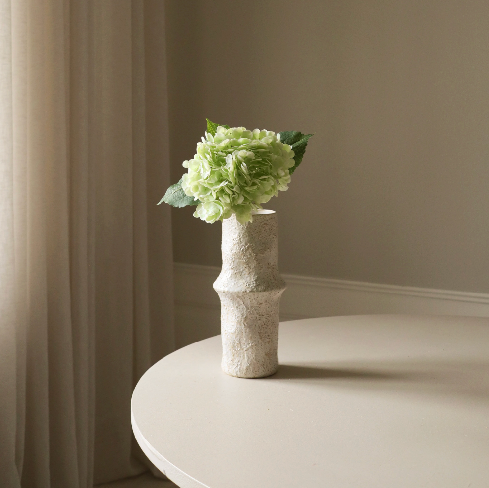 Bloem - Lichtgroene hortensiabloem