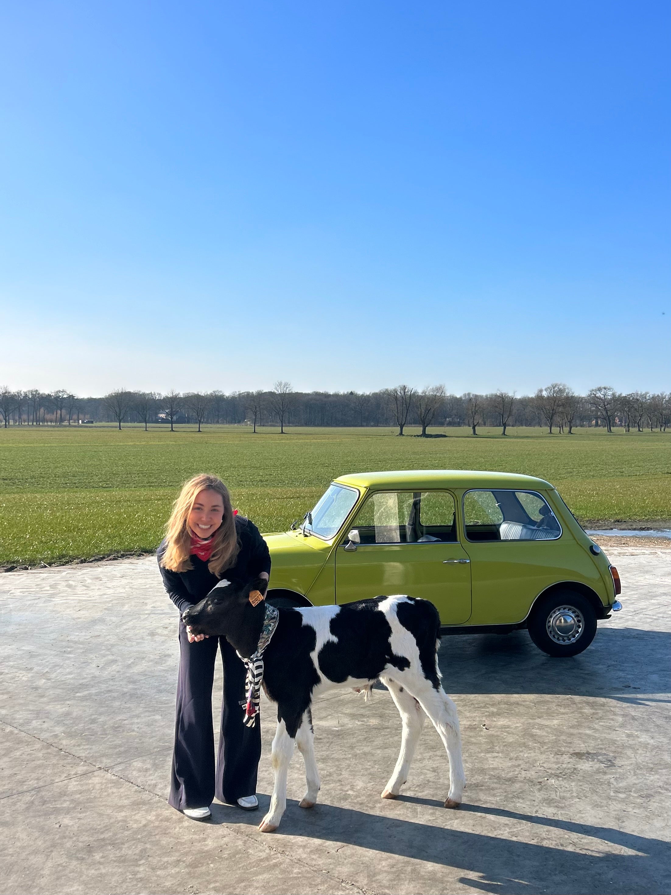 Charlotte's Favorieten