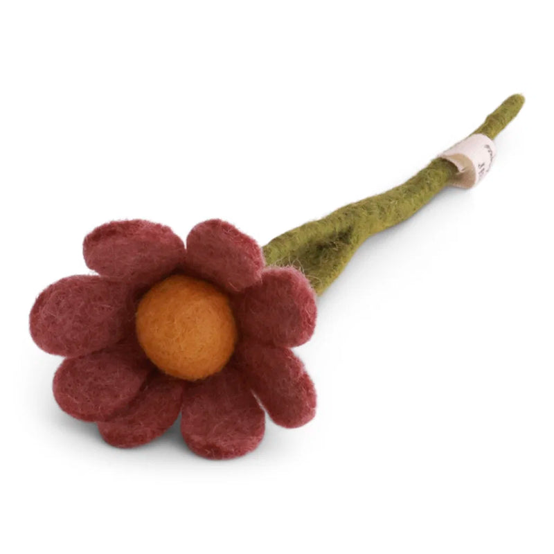Small Anemone with Leaf