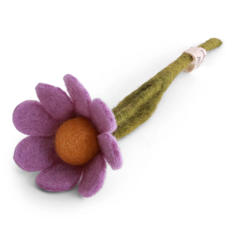 Small Anemone with Leaf