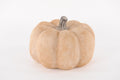 Decorative pumpkin - Calm Orange - Ø16.5x25.5 cm