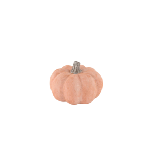 Decoratie pompoen - Pompoen Oranje - Ø15x11 cm
