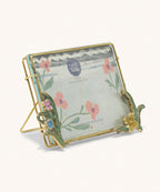Ivy Fotokader