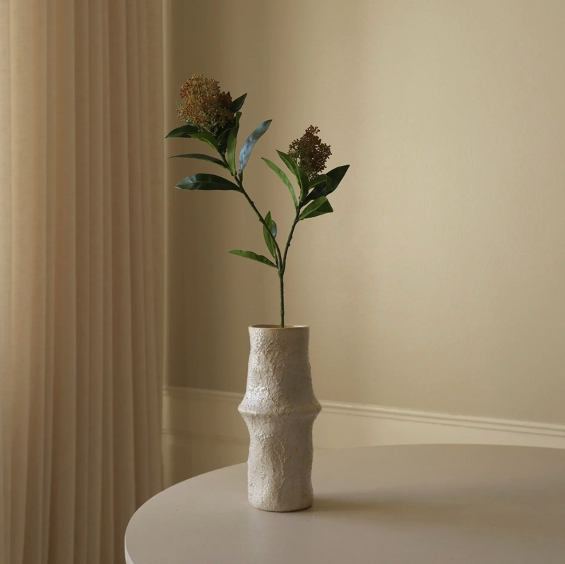 Bloem - Roze Skimmia bes tak