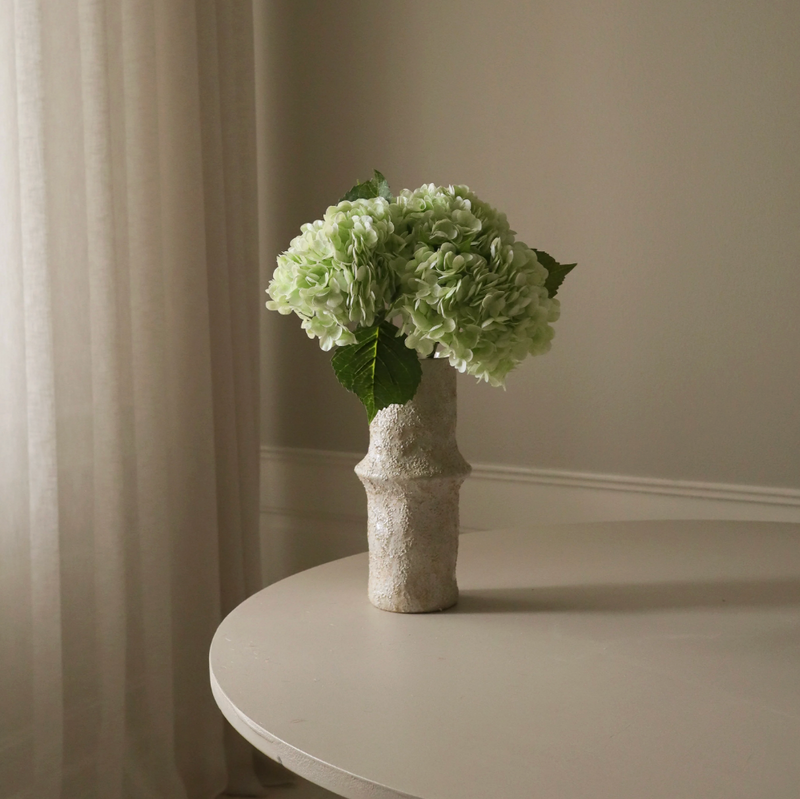 Bloem - Lichtgroene hortensiabloem