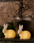 Set 2 LED lamp - Rabbits