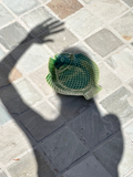 Fish plate in green — 28 cm