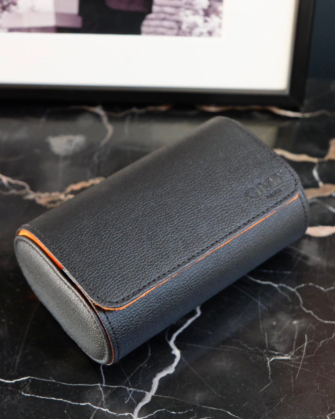 Travel watch box